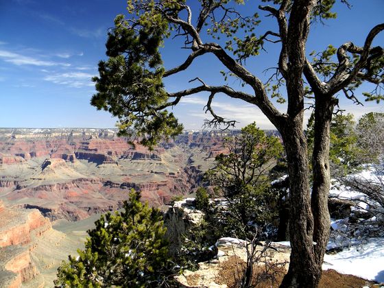 Grand Canyon National Park