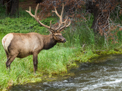 Rocky Mountain National Park