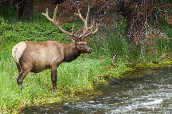 Rocky Mountain National Park