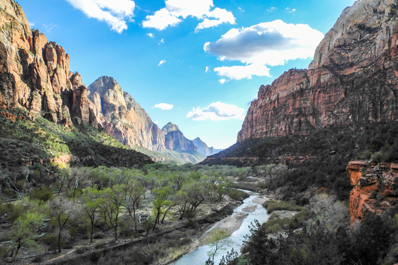 Zion National Park