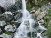 Kings Canyon National Park