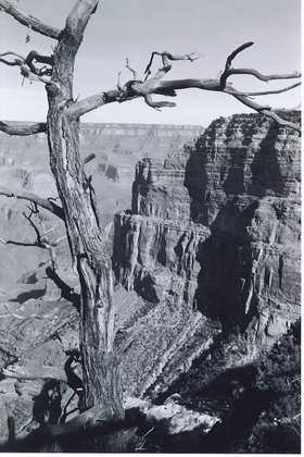 Grand Canyon National Park