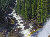 Yosemite National Park