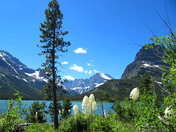 Glacier Natl. Park