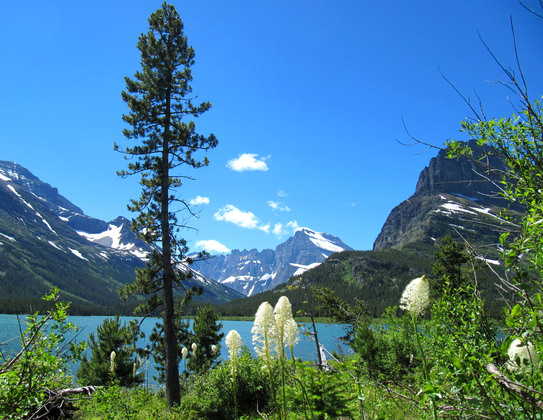 Glacier Natl. Park
