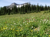 Glacier National Park 