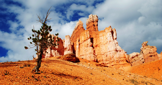 Bryce Canyon National Park