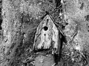 black and white bird house