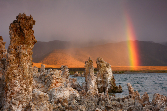 Inyo National Forest Mono Basin National Forest Scenic Area