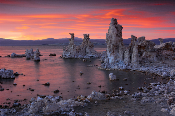 Mono Basin; INYO National Forest