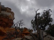 Capitol Reef National Park