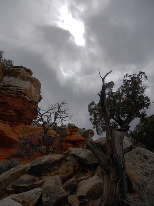 Capitol Reef National Park