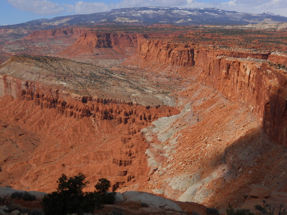 Capitol Reef National Park