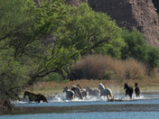 Tonto National Forest