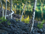 Lassen National Forest