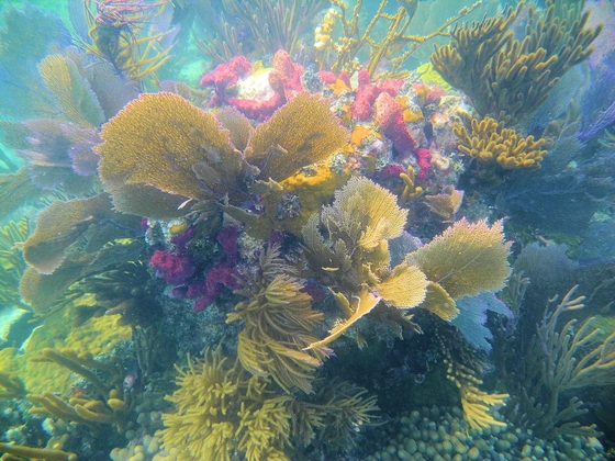 BIscayne National Park