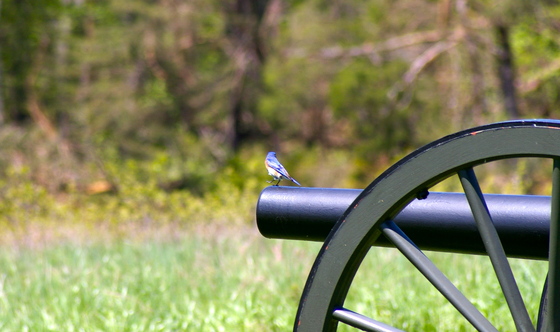 Fredericksburg & Spotsylvania National Military Park