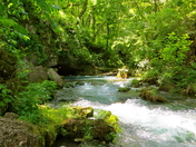 Ozark National Scenic Riverways