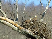 New River Gorge National River