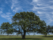 Fort Monroe National Monument 