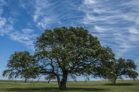 Fort Monroe National Monument 