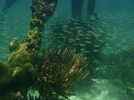 Dry Tortugas National Park