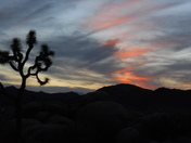 Joshua Tree National Park