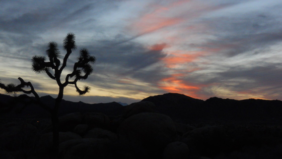 Joshua Tree National Park
