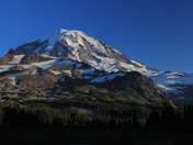 Mt Rainier National park
