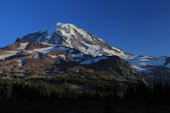 Mt Rainier National park