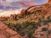 Arches National Park