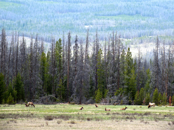 Rocky Mountain National Park