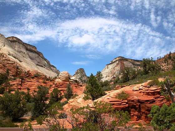 Zion Natl. Park