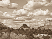 Cococino National Forest