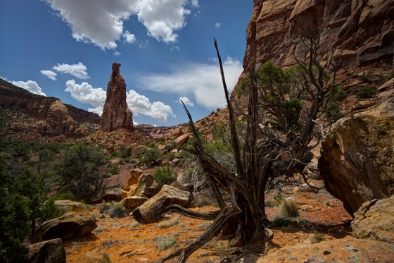 Colorado National Monument