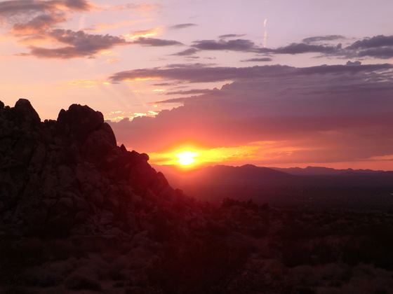 Joshua Tree