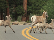 Rocky Mountain National Park