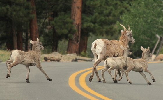 Rocky Mountain National Park