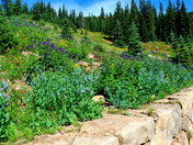 Rocky Mountain National Park