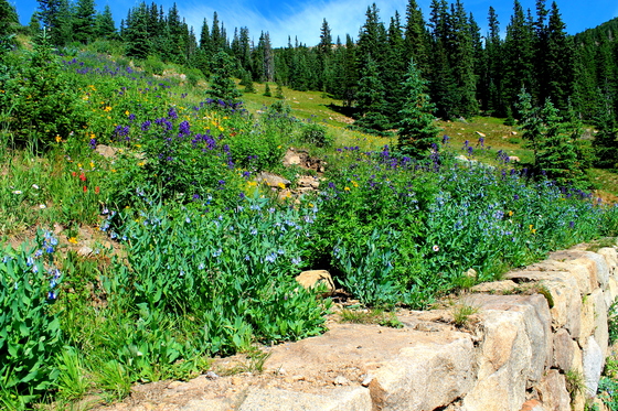 Rocky Mountain National Park