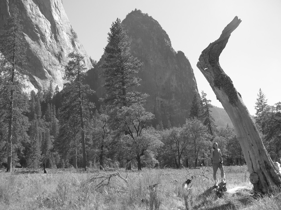 Yosemite National Park