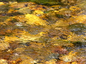 Rocky Mountain National Park
