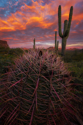 Tonto National Forest 