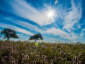 Fort Monroe National Monument 