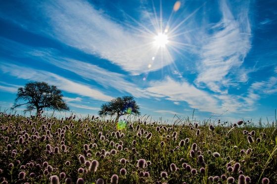 Fort Monroe National Monument 