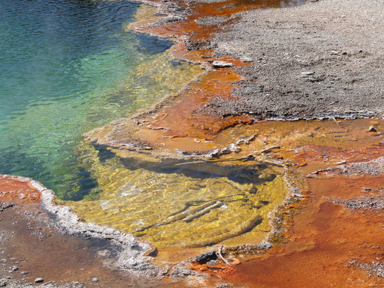 Yellowstone National Park