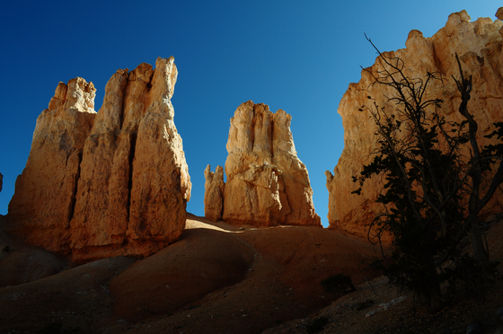 Bryce Canyon