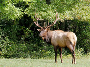 Great Smoky Mountains National Park