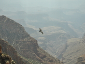 Grand Canyon National Park