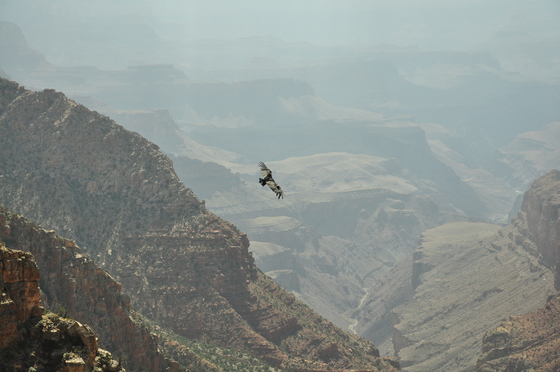 Grand Canyon National Park